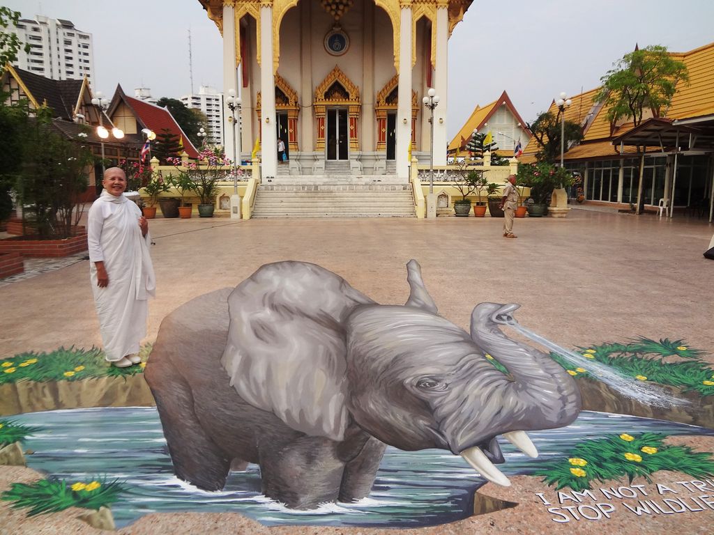 3D Street Painting for the World Wildlife Foundati