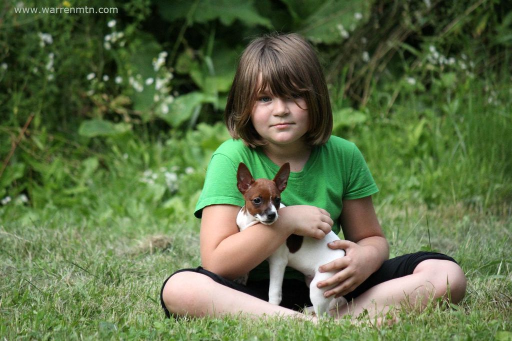 Little girl and her puppy