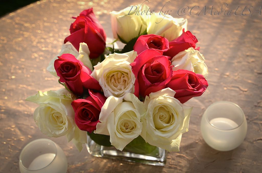 Beautiful flowers.