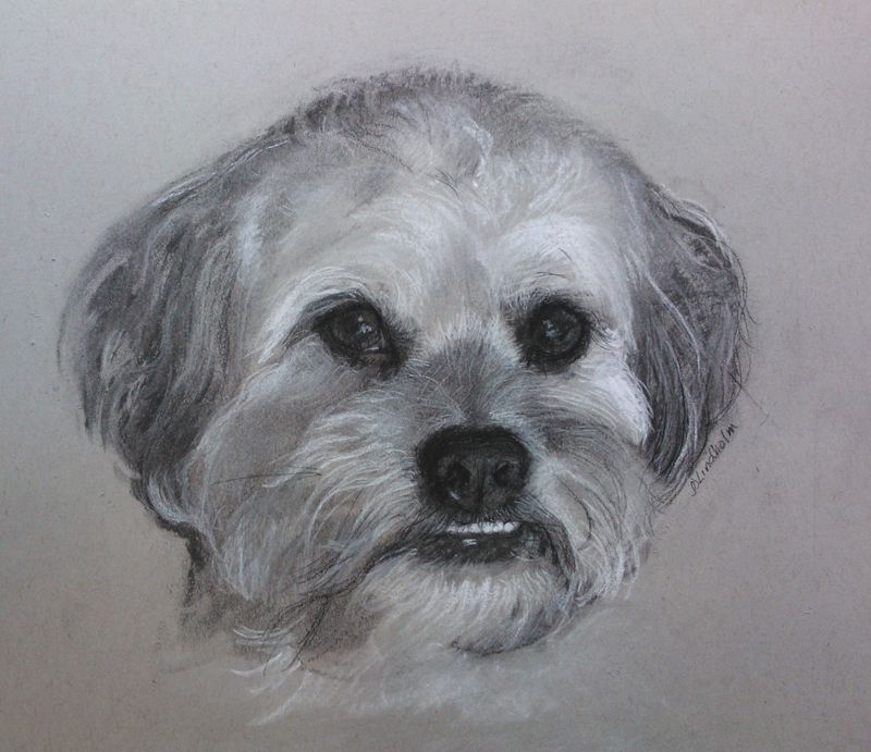 SueO2, Charcoal, 10"x10"