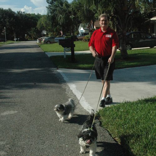Dan Mackey walking dogs