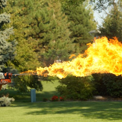 we all have flamethrowers...right?