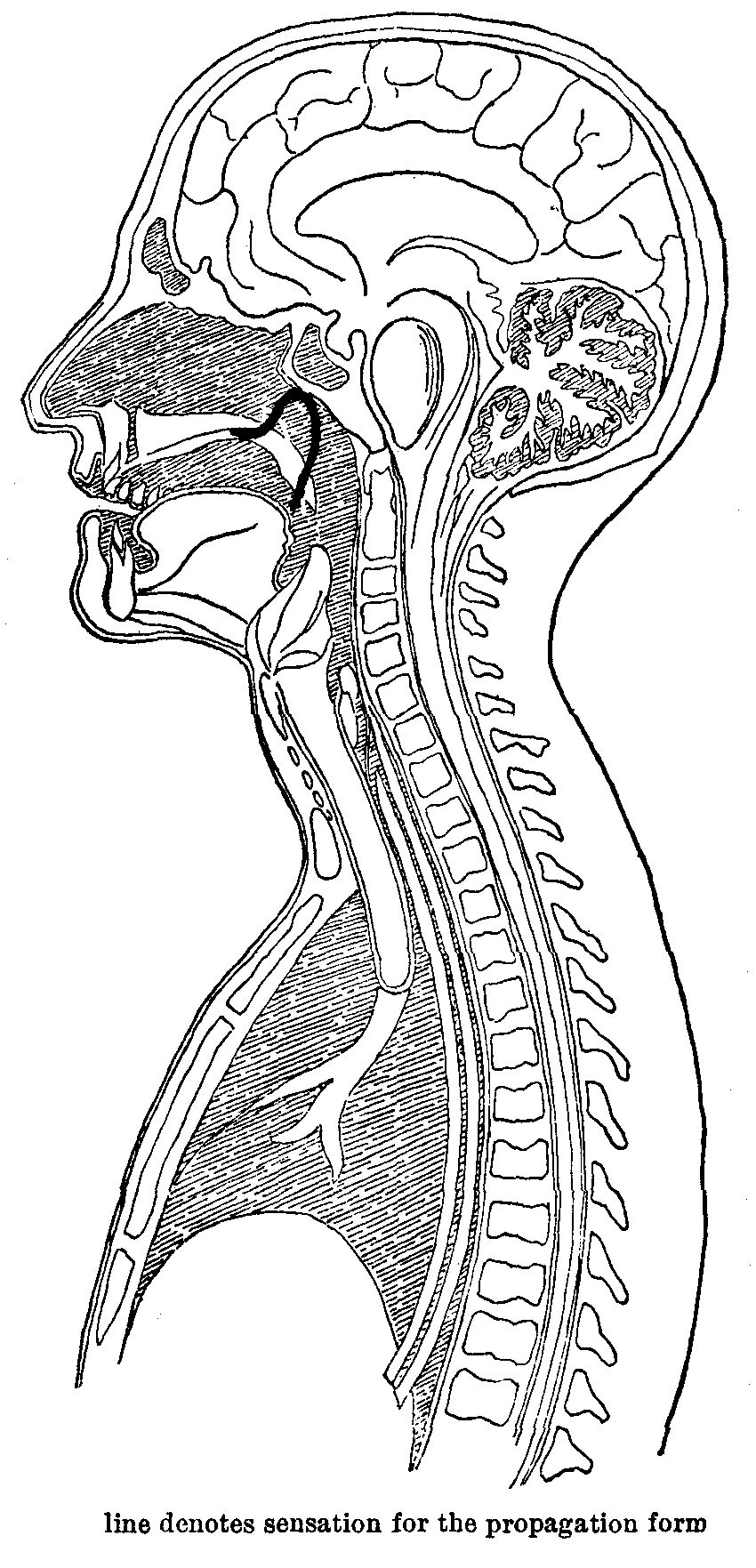 The Instrument