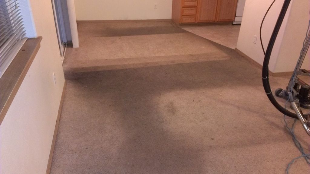 Before Cleaning Dining Room/Living Room with Rotov