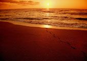 Are you walking in a way that you will seek and fi