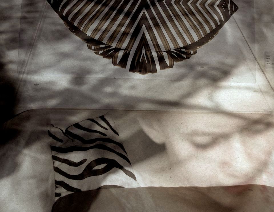 IN THE SHADOWS