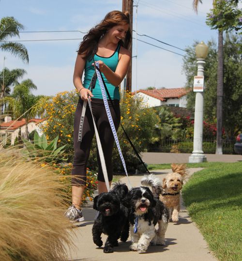 Pack Leader Devon Delattre with Lulu, Lucy, & Tedd