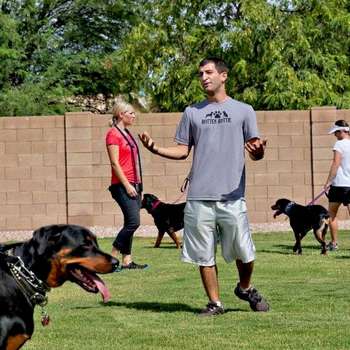 Yoni leading a group class full of reactive rottie