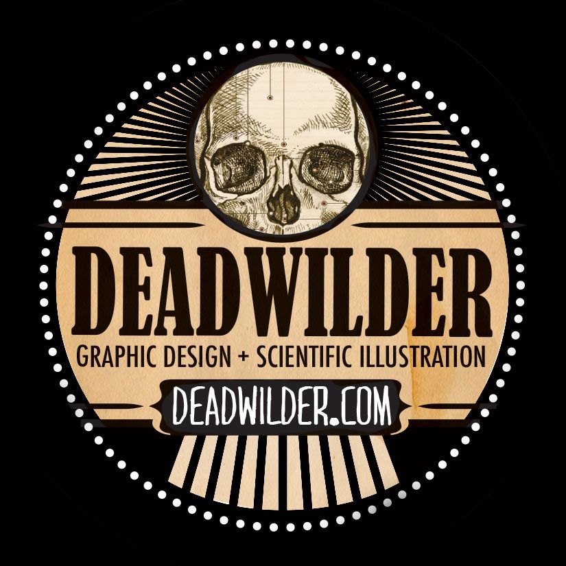 Deadwilder Design & Illustration