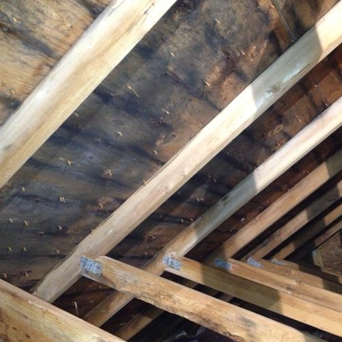 Attic mold growth resulting from improper ventilat