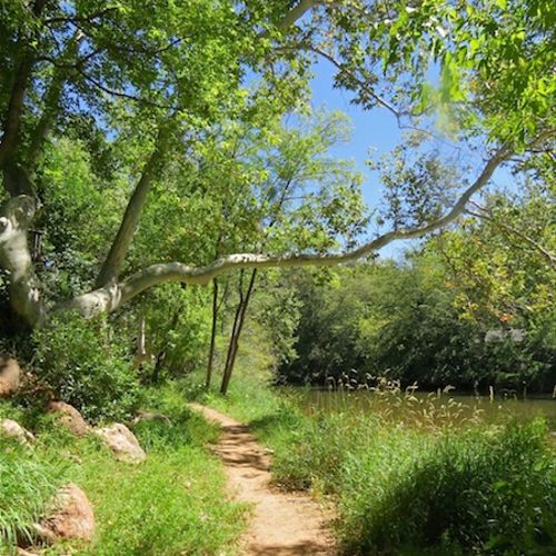 Oak Creek path in Sedona, Arizona