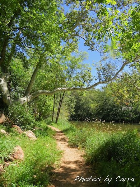 Oak Creek path in Sedona, Arizona