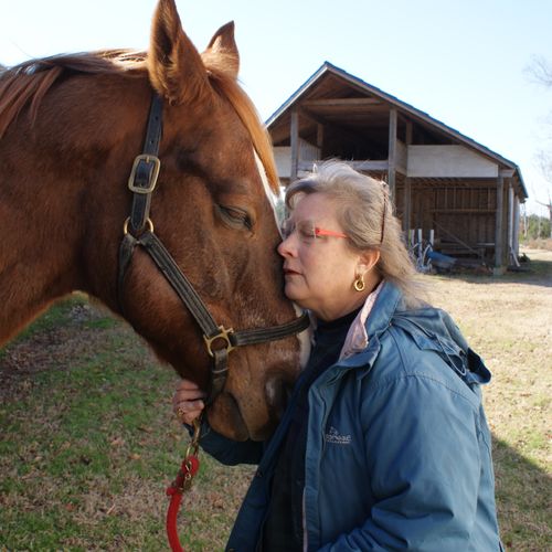 Project involved meeting a lady and her horse for 