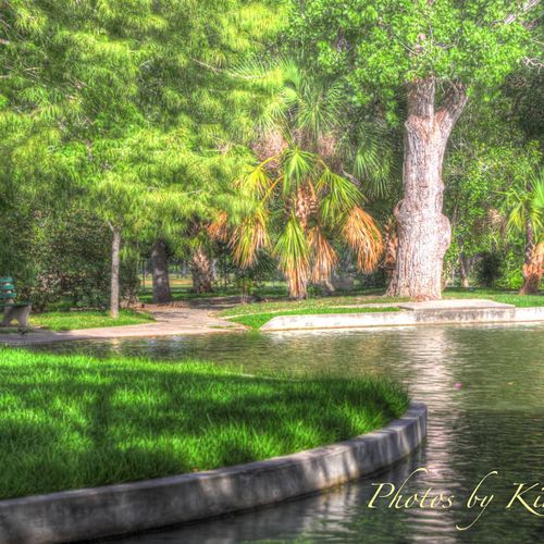 Riverside Duck Pond, Fine Art Photography