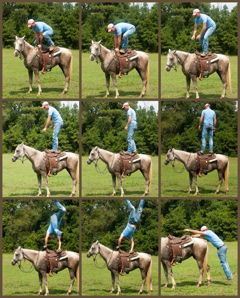 Duane Morris Horse Training