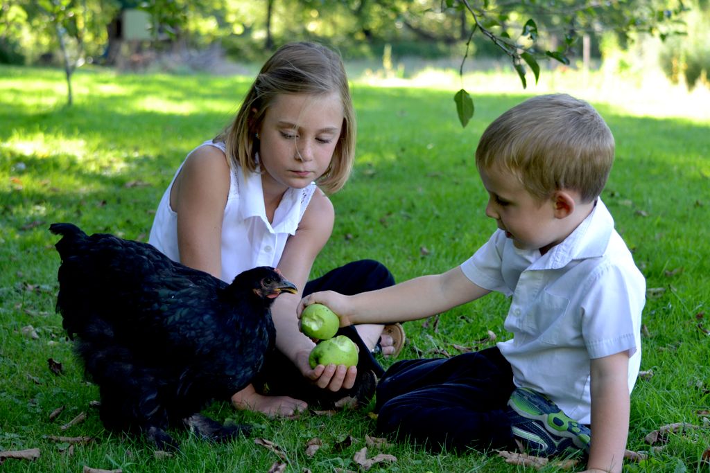 My "Naturopathic Children"