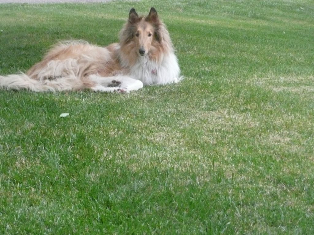 This is Kita she is 8 years old.