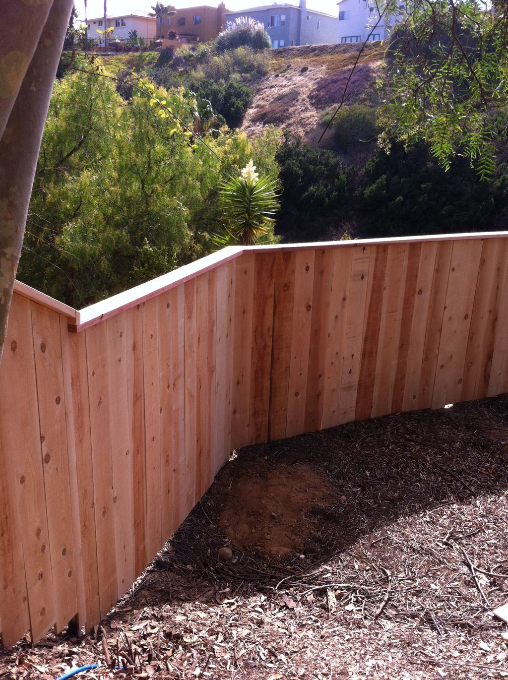Cedar Fence With Top Rail