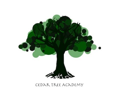 Cedar Tree Academy LLC