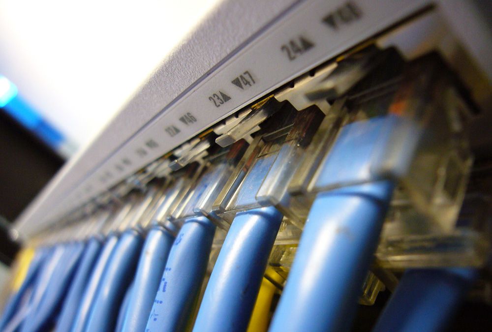 Switch with several Ethernet cables plugged in