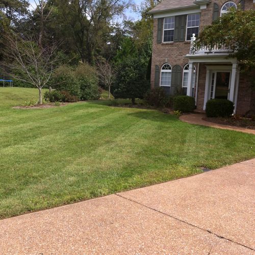 Lawn In Brentwood Properly striped