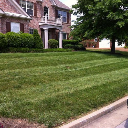 Lawn In Brentwood Picture captured stripes