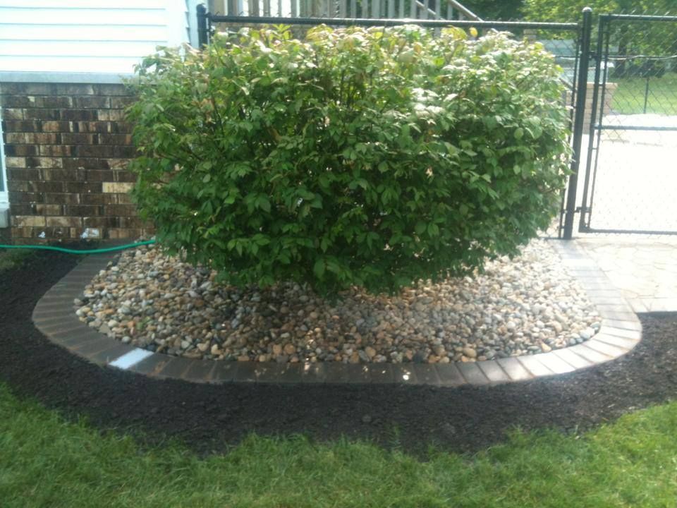 Brick and lighted brick edging around large bushes