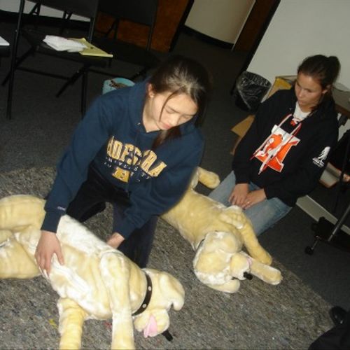 Pet CPR and First Aid class