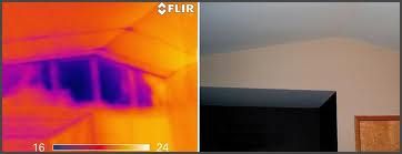 The thermal camera I use helps find moisture issue
