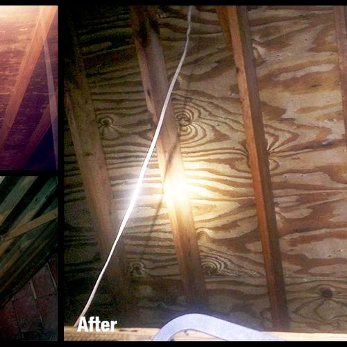 Mold in the attic - Before and After