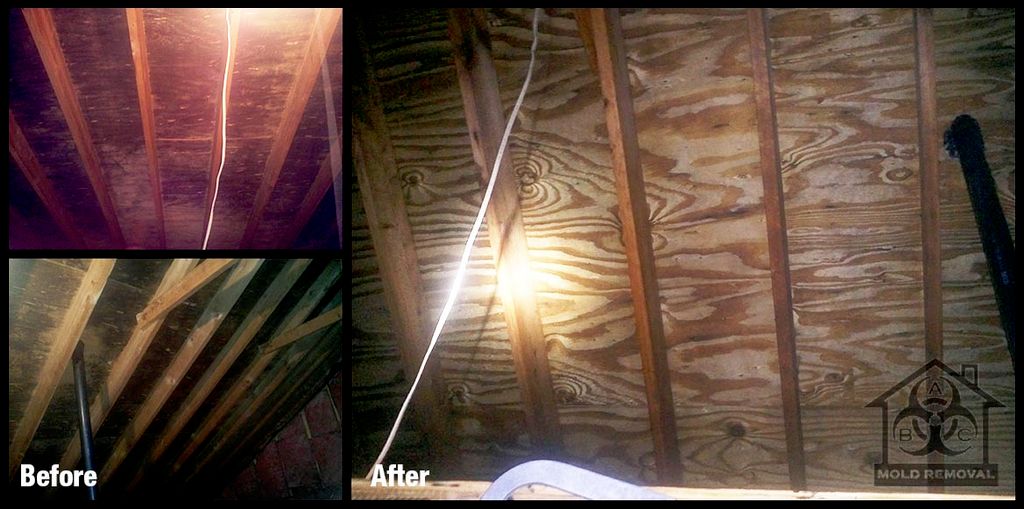 Mold in the attic - Before and After