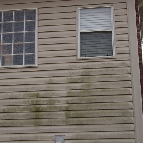 Pressure wash exterior of homes