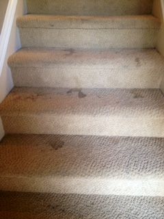 Stairs before cleaning