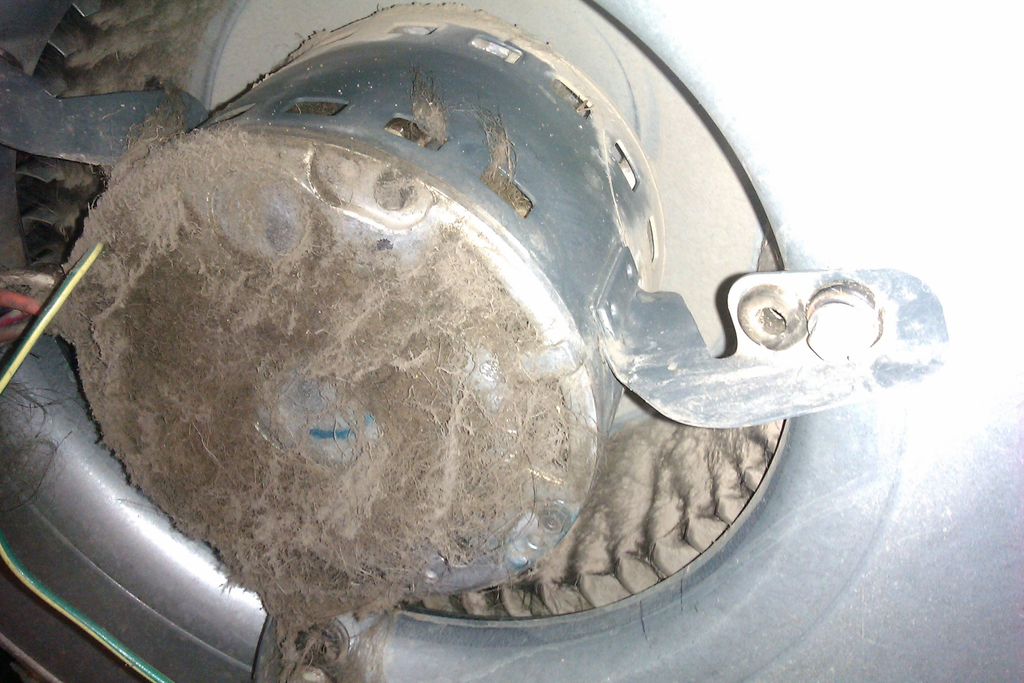 Animal hair plugs motor/blower