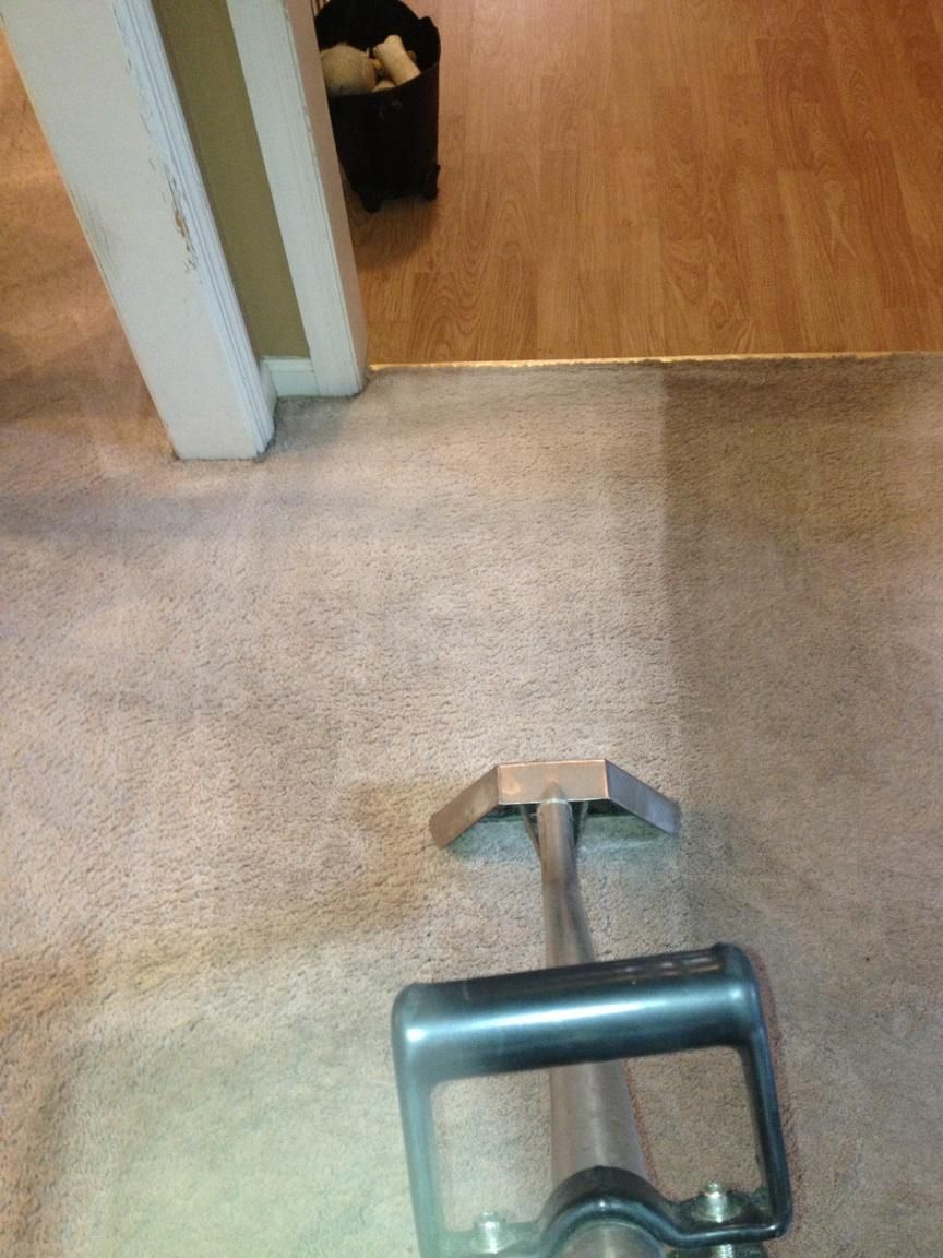 Cleaning carpet is what we do!