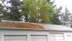 Very Heavy moss growth on a garage. Blown and swep