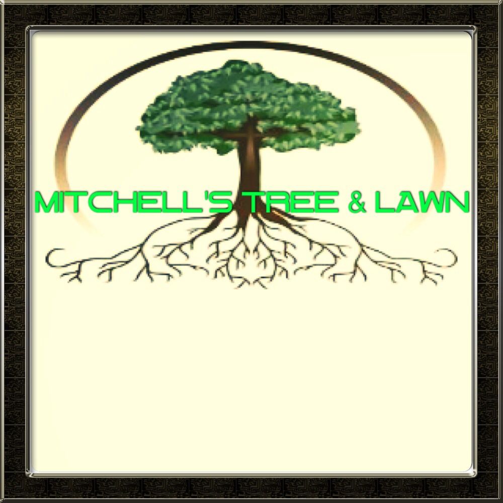Mitchell's Trees & Lawn