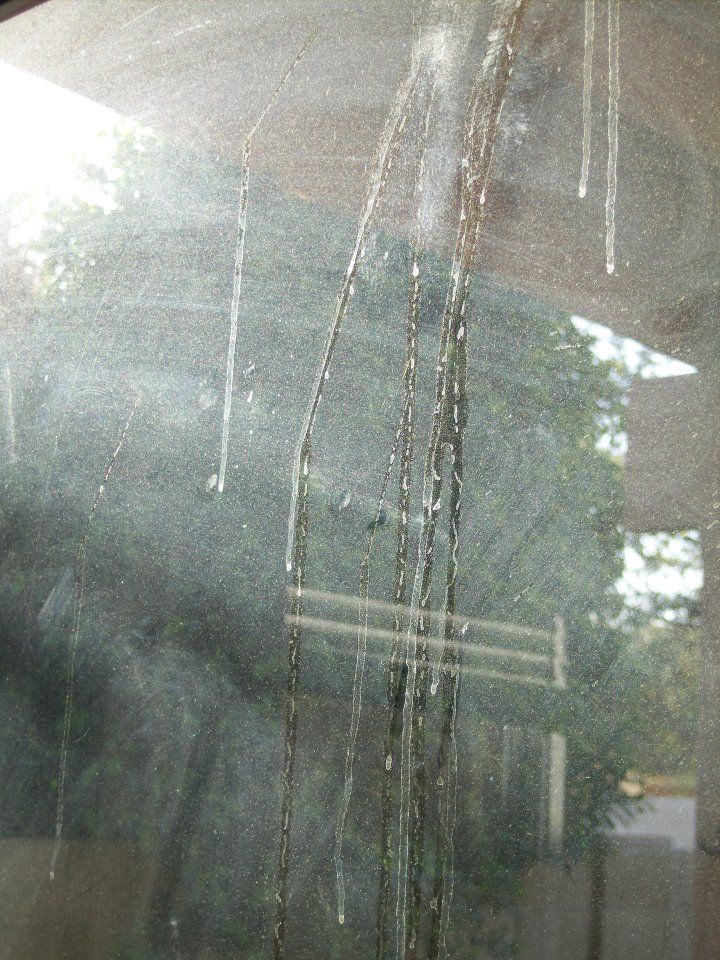 Window before window cleaning.