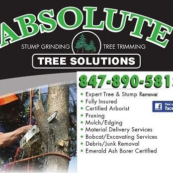 Absolute Tree Solutions