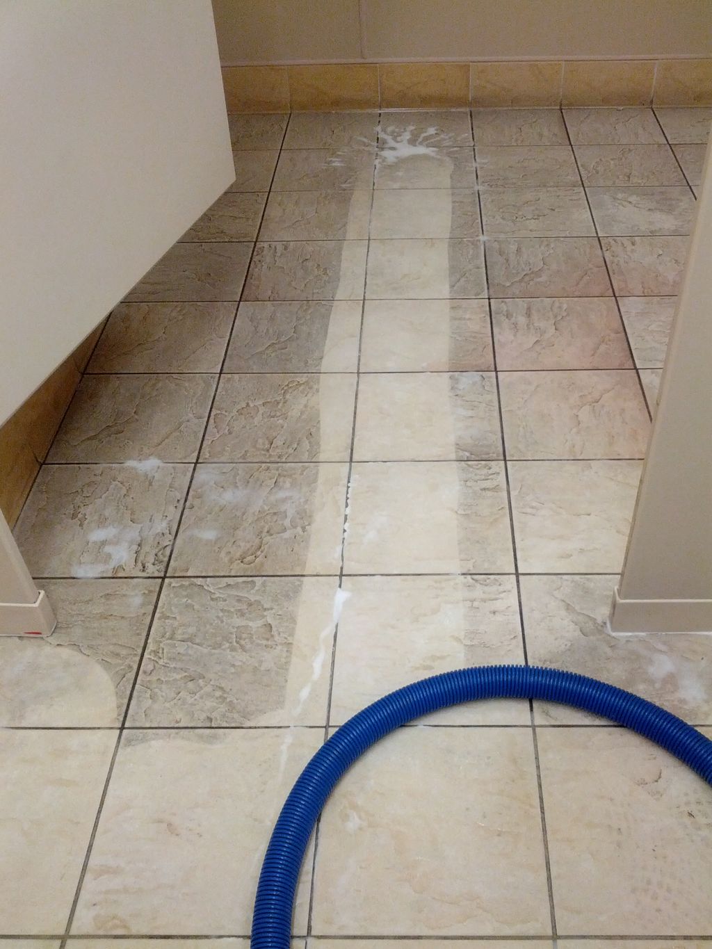 Tile Cleaning