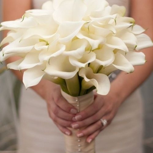 Flowers by Lisa
Wedding Flowers | Bridal Bouquets 