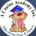 A Canine Academy