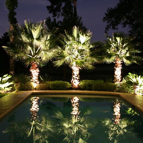 Landscape Lighting for pool area