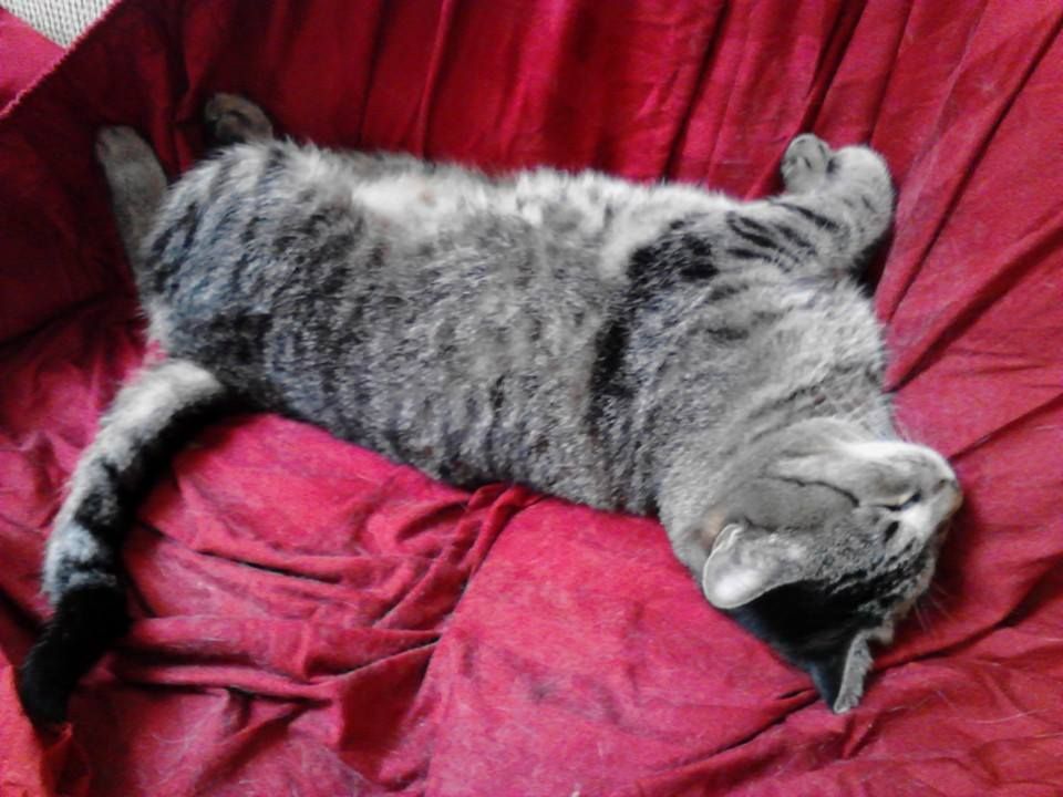 I think he's a little relaxed .....