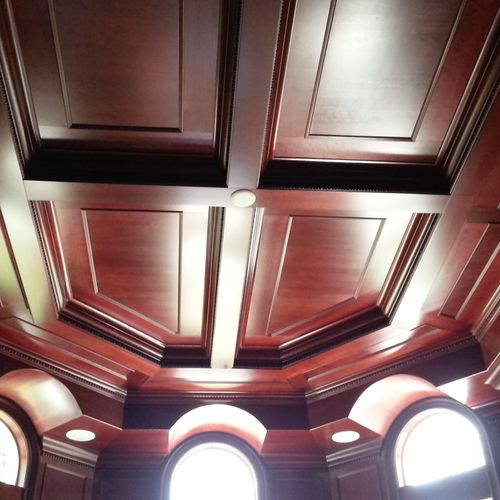 custom ceiling in library of largest home in breva