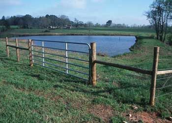Fence for livestock.