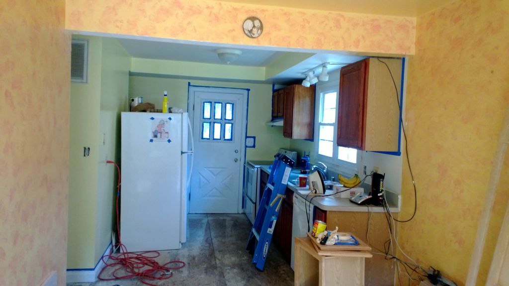 This is the start of her kitchen remodel before th