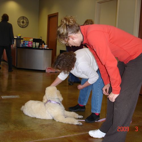 Puppy and People friendly methods are taught in ou