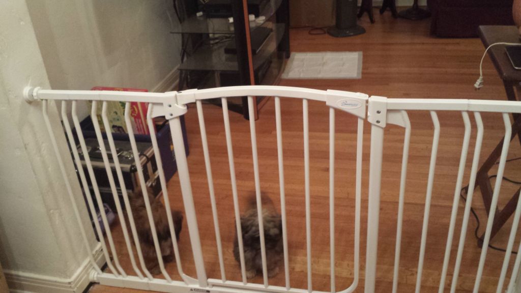 built and installed doggy gate for customer