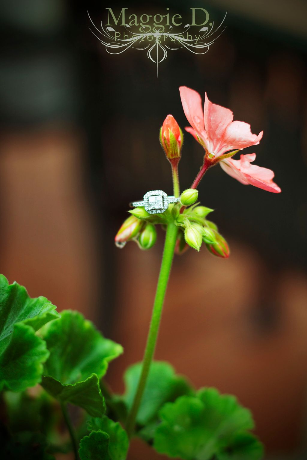 Engagement Session